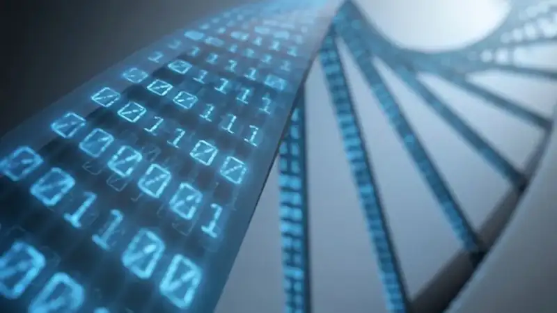 Memristor Ve DNA Depolama NAND’ın Yerini Alacak Mı?