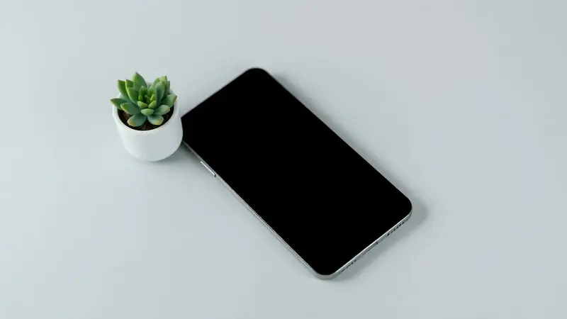 Bir Günlük Dijital Detoks Zihninizi Nasıl Yeniliyor?